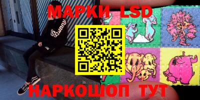 индика Тверь